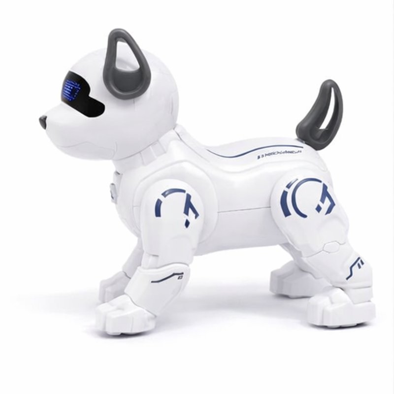pet